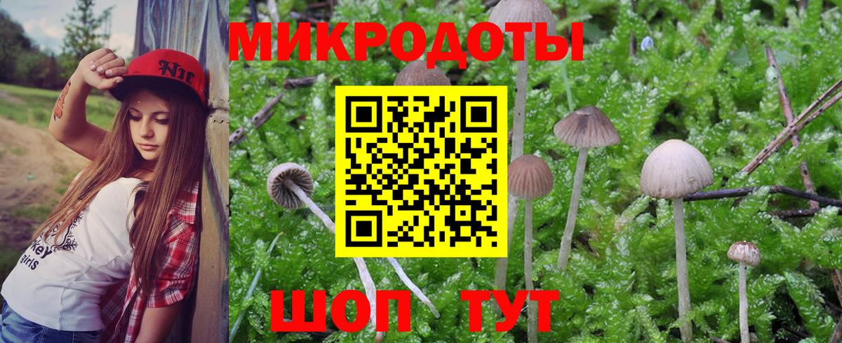 Жигулёвск  Псилоцибиновые грибы MAGIC MUSHROOMS  Вход с VPN 