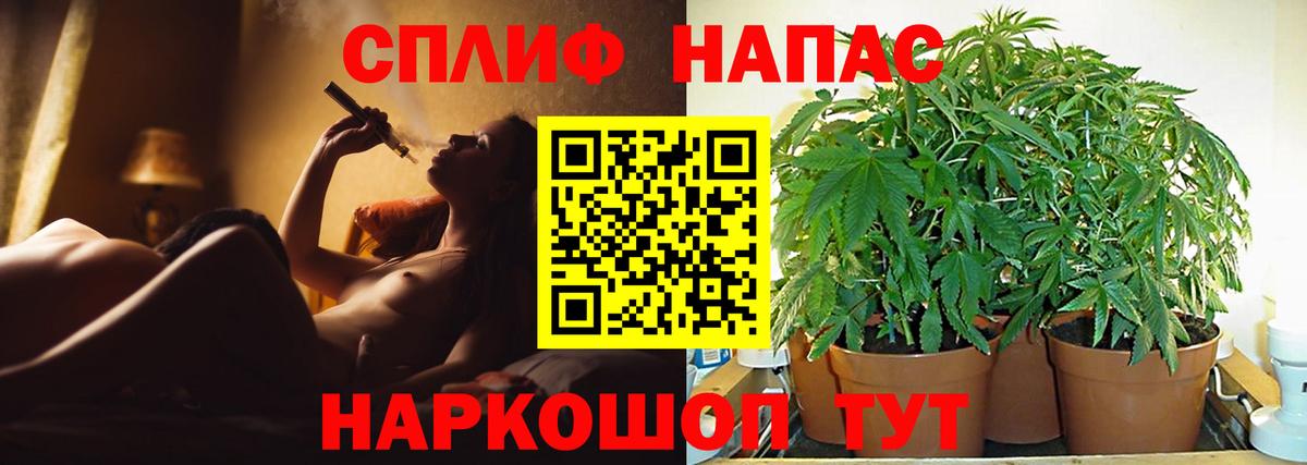Бошки Шишки гибрид  Шишки марихуана AK-47  Бошки марихуана VHQ  Шишки марихуана гибрид  Жигулёвск  Вход с VPN 
